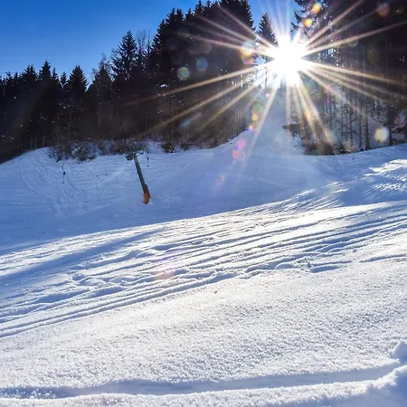 Waschnig アパート グライフェンブルク